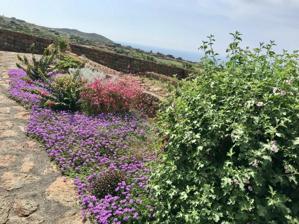 Tgi Dammusi Preziosi Scauri (Sicily) Exterior foto